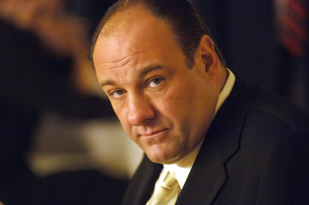 James Gandolfini, inoubliable Tony Soprano, est décédé à l'âge de 51 ans. 