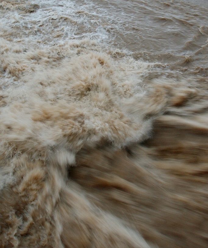 Un Zurichois a choisi la journée de dimanche pour effectuer plusieurs descentes de la Limmat, alors que la rivière était en crue.