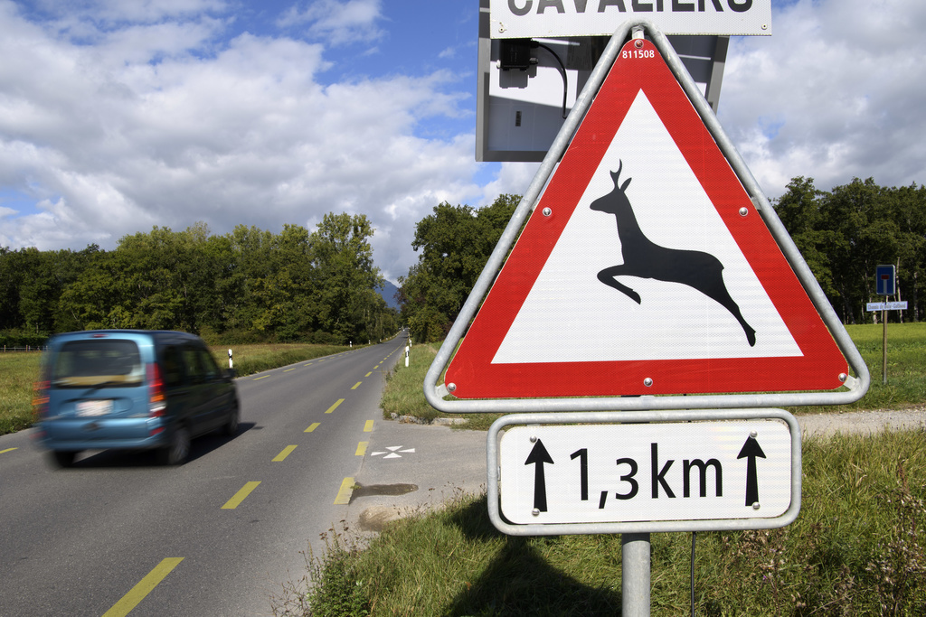 La probabilité d'entrer en collision avec du gibier est particulièrement forte dans les cantons du Jura, des Grisons et de Fribourg. (illustration)