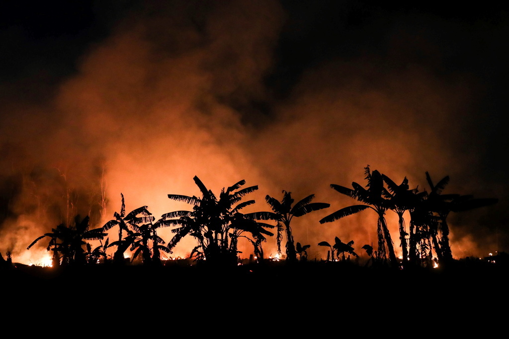 Frappés par une sécheresse historique, des régions entières ont connu ces derniers mois des incendies dévastateurs. Ceux-ci ont ravagé des forêts et des zones humides d’une exceptionnelle biodiversité. (Keystone archives)