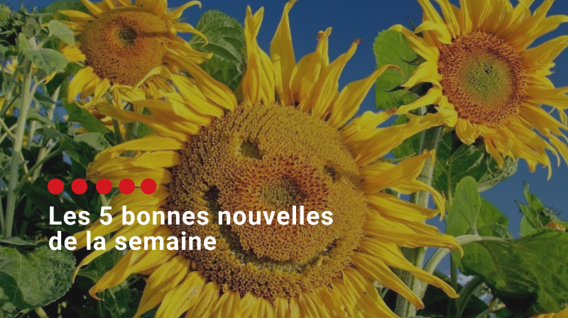 Cinq bonnes nouvelles pour retrouver la bonne humeur avant le week-end!