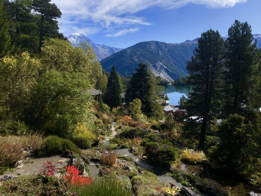 Le jardin alpin Flore-Alpe de Champex-Lac accueille toute une série d'activités d'ici au 1er novembre.