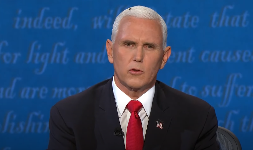 Pendant le débat, une mouche s'est posée sur la tête de Mike Pence sans qu'il ne s'en aperçoive. (capture d'écran)