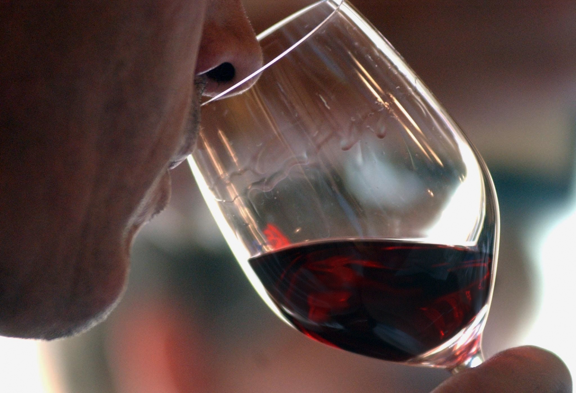 Cette année au Mondial de Bruxelles, 8000 vins en provenance de 50 pays ont été dégustés par 250 spécialistes du monde entier.