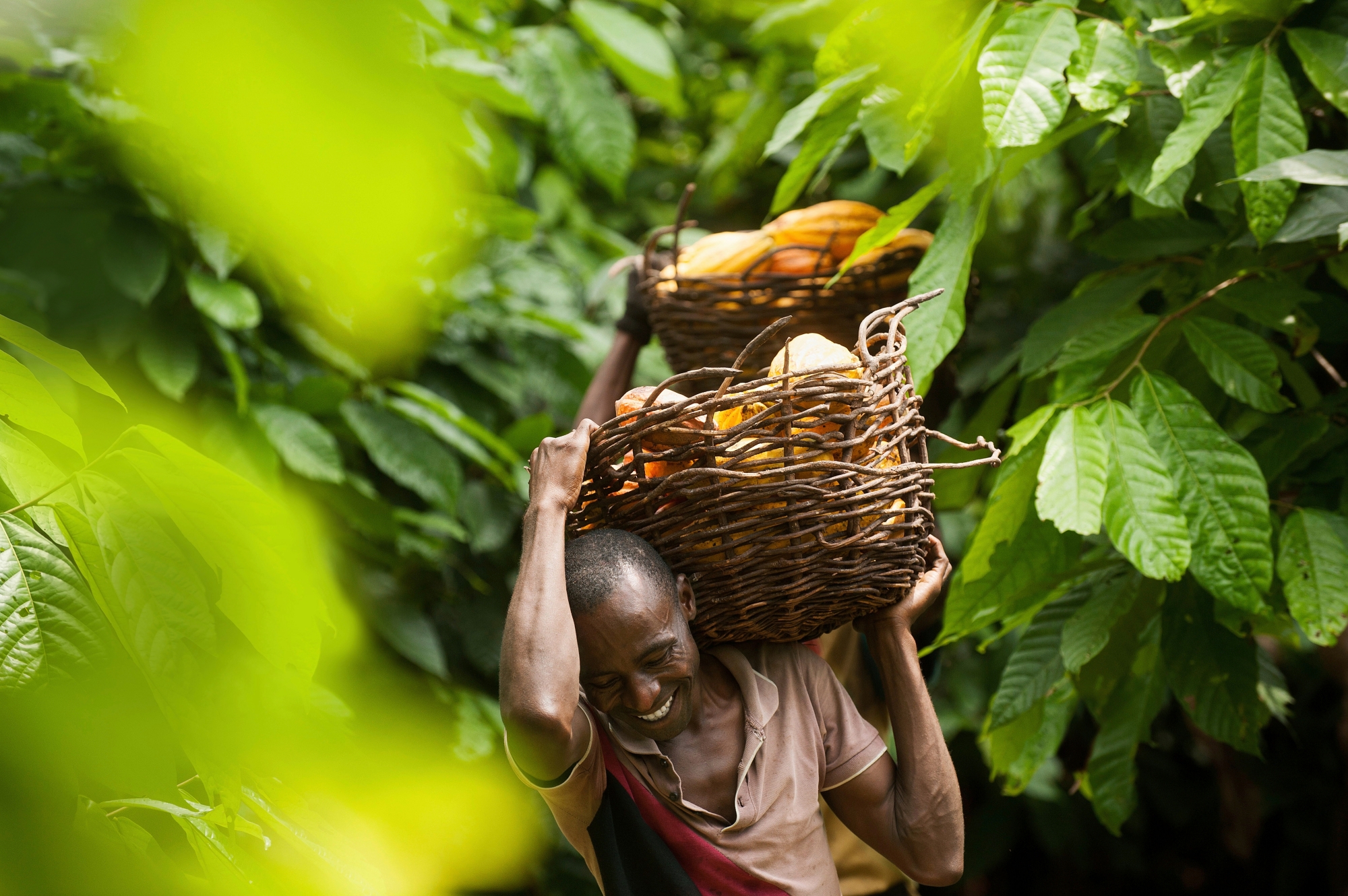 Norbert Boni Koikoi, producteur de cacao en Côte d’Ivoire, est soutenu par Max Havelaar.