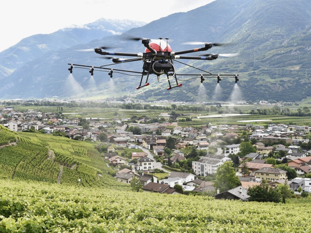 Les drones essaiment au-dessus des vignes des différents cantons viticoles. En Suisse, on dénombre 35 autorisations actives dont 17 accordées à des sociétés valaisannes.