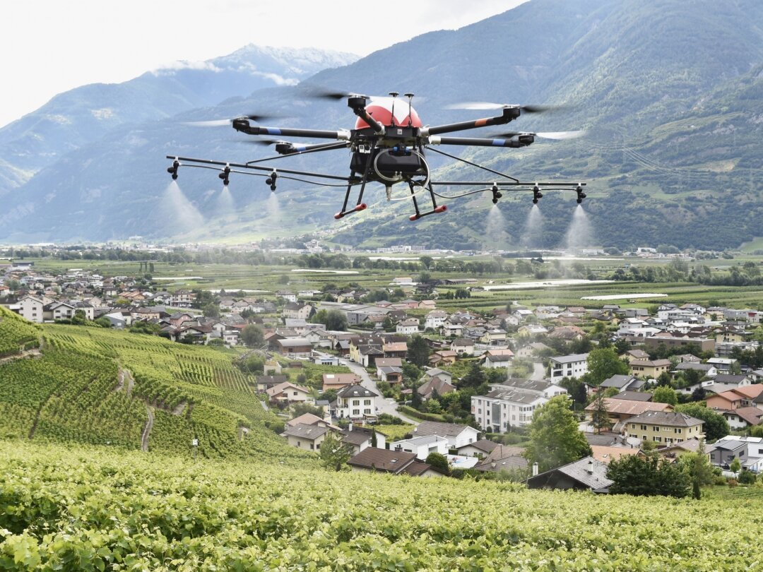 Drones pour sulfater les vignes.