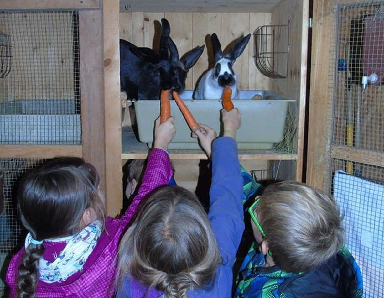 Des expériences inoubliables pour les enfants à la ferme des Planches.