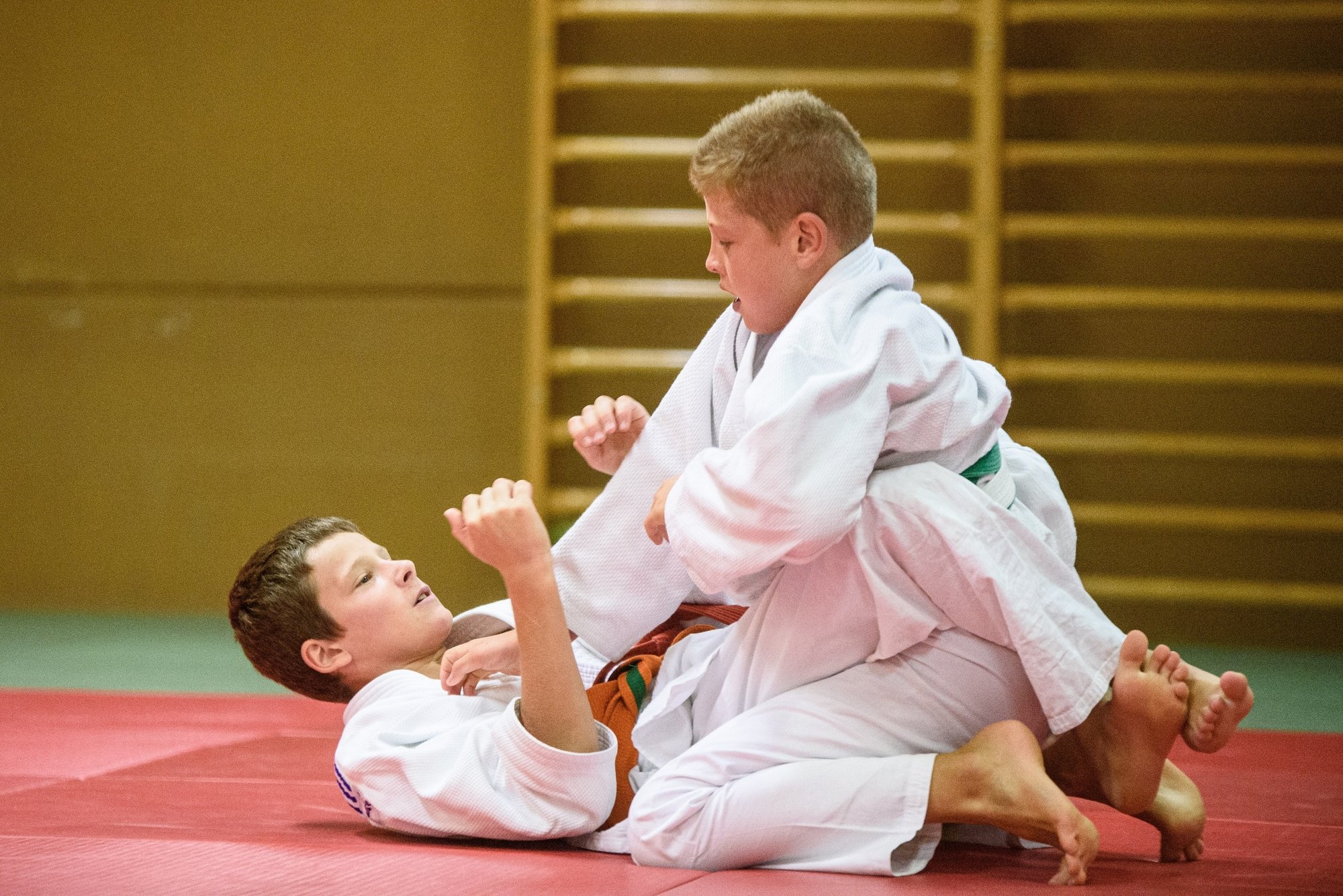 Le judo est l'un des sports de contact particulièrement prétérité depuis un mois. Les jeunes peuvent retrouver le sourire.