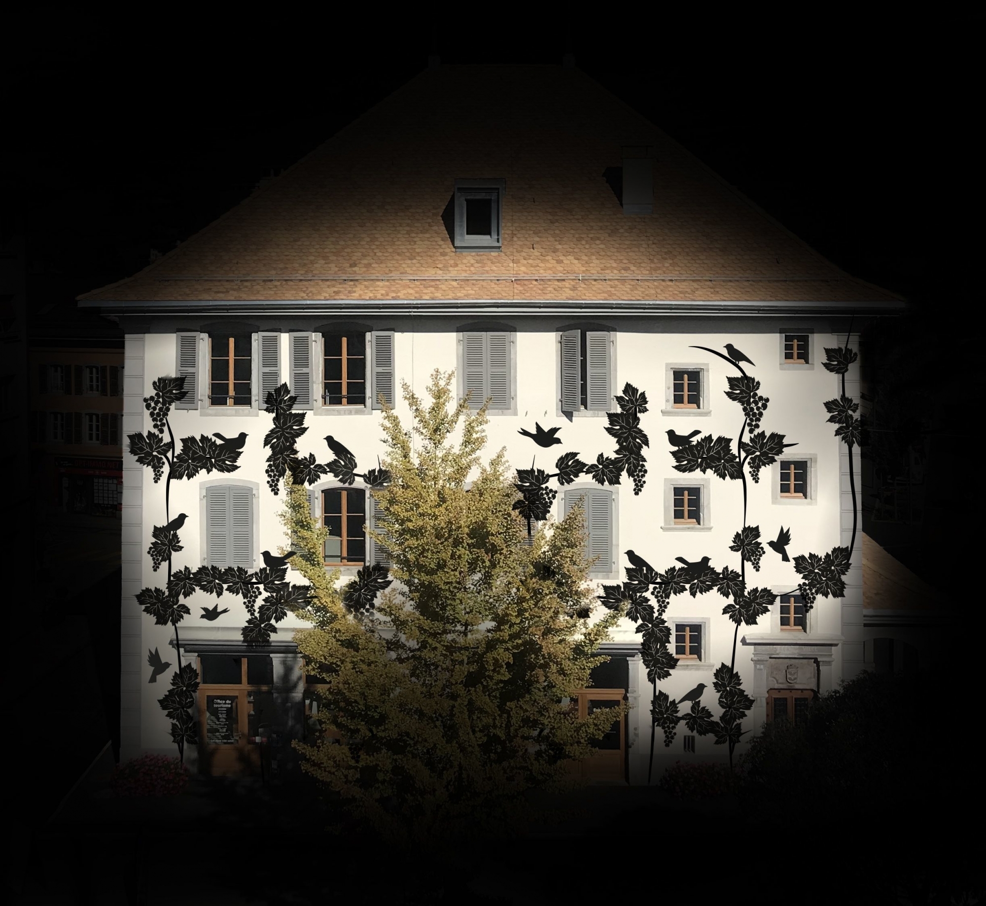 Entre ombres et lumières, la vigne se fait une place sur la façade de l'Ancienne Maison de Ville.