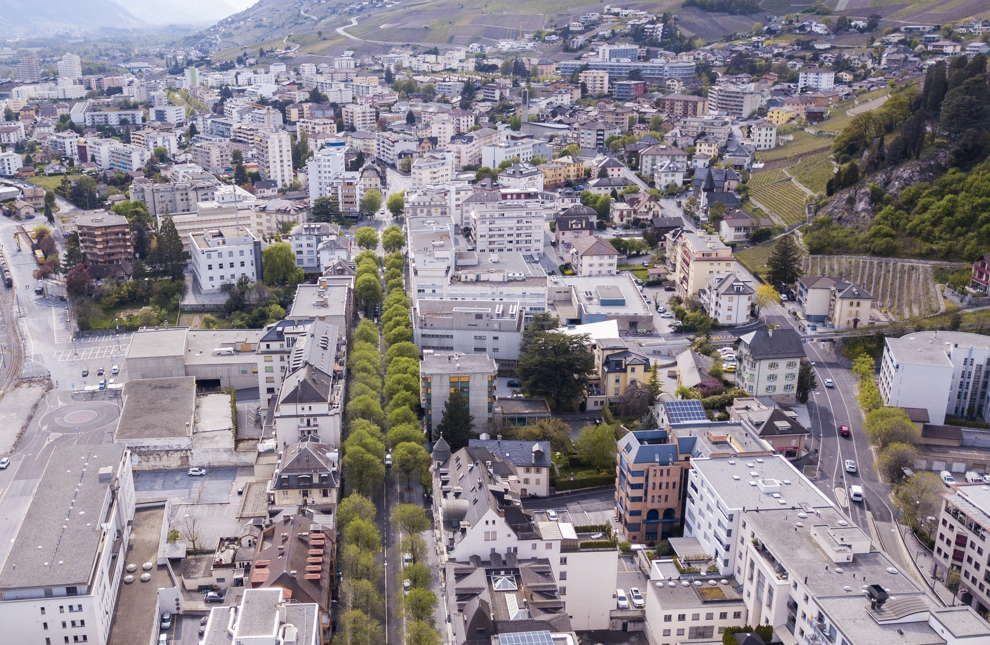 Avec son projet «Jardin de poche», la municipalité de Sierre invite ses citoyens à végétaliser leur ville.