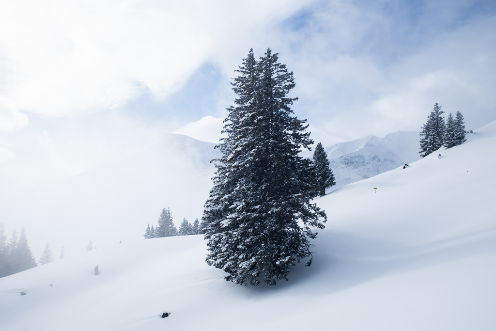 Sur le Jura et dans les Alpes au-dessus de 1500 mètres, Météosuisse prévoit 5 centimètres de neige fraîche. (illustration)