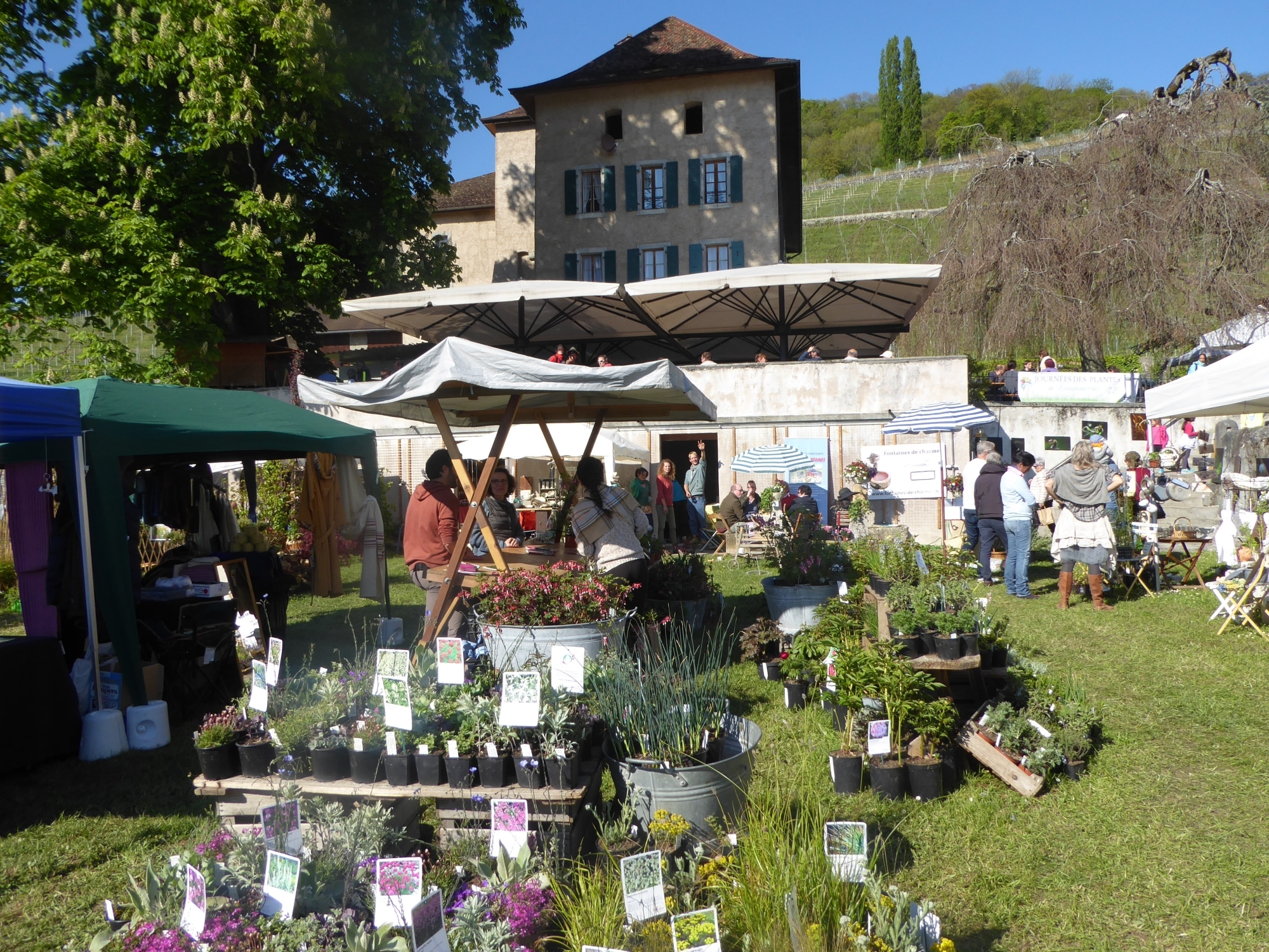 Dans le parc de l'abbaye de Salaz, les visiteurs pourront trouver plantons et conseils auprès de plus de 40 stands.