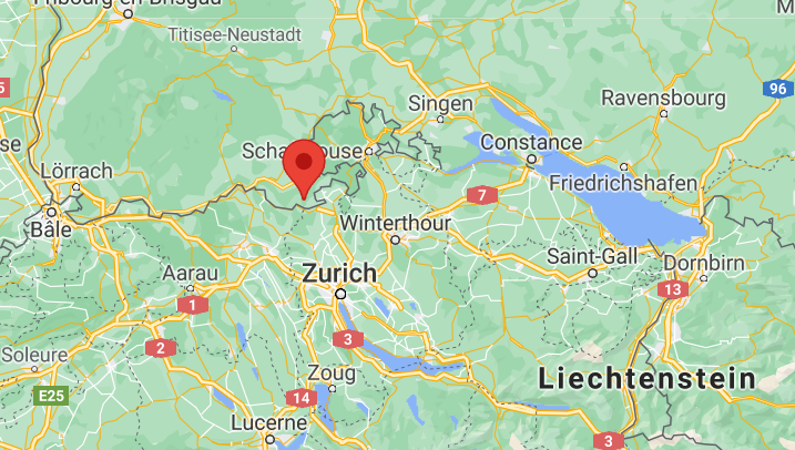 Le propriétaire d'une forêt dans la région allemande de Hohentengen-Bergöschingen, près de la frontière suisse, a trouvé plusieurs ossements humains en mars.