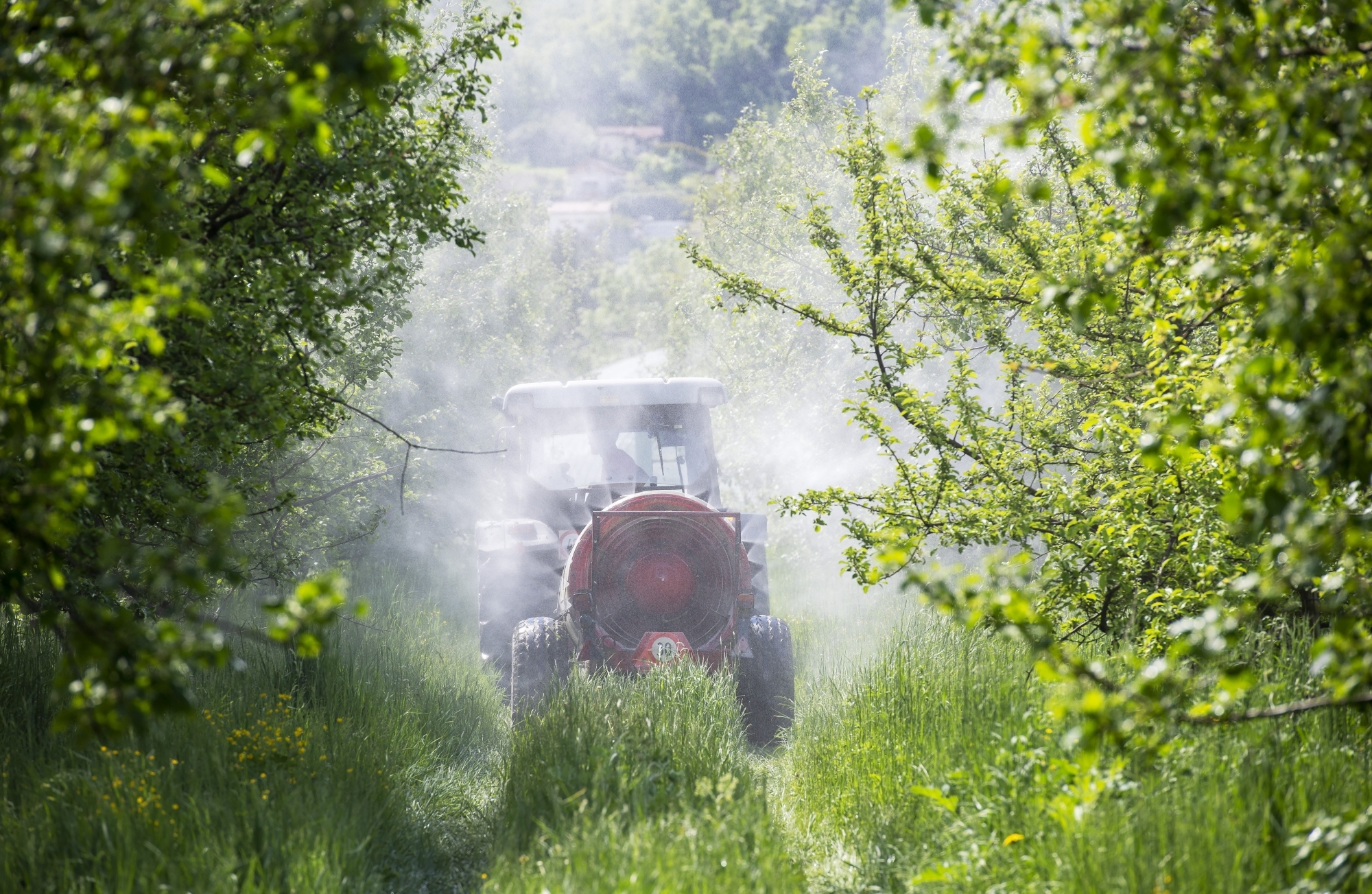 Lors des épandages, les producteurs bio se passent déjà de pesticides pour protéger leurs cultures. Toutefois, tous ne sont pas favorables à cette initiative. Certains craignent que son application nuise à l'agriculture suisse toute entière.