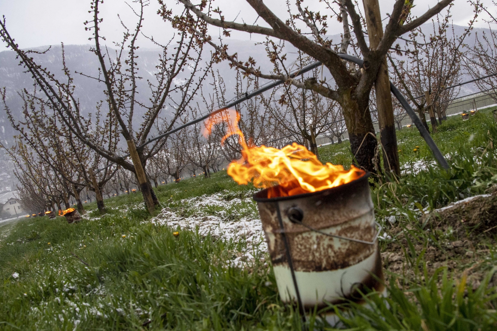 Certains agriculteurs, comme ici à Fully, ont utilisé des bougies à la paraffine ou chaufferettes pour limiter la casse dans la nuit de mardi à mercredi.