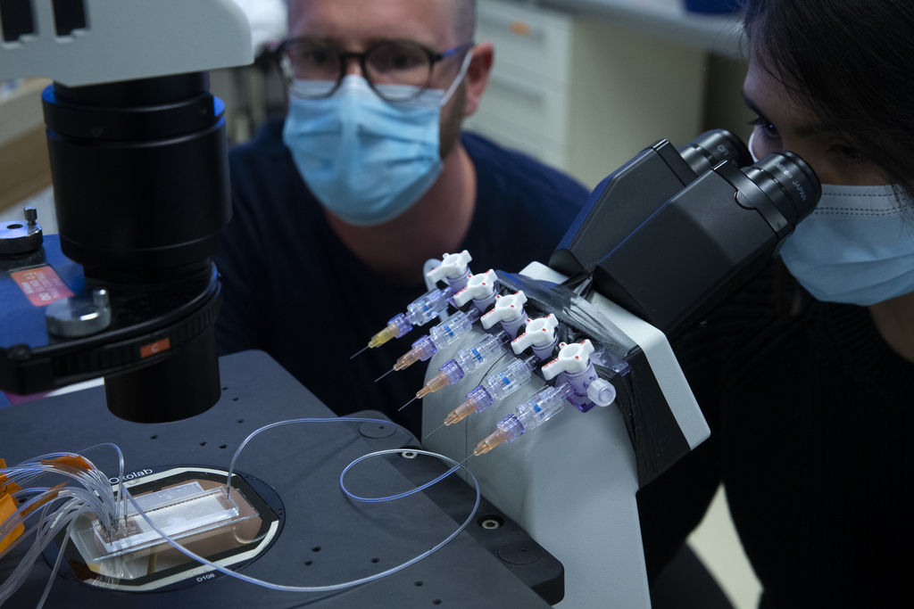 Des scientifiques de l'EPFL, de l'Uni de Genève et des HUG a développé un test bon marché pour détecter des anticorps Covid-19 dans plus d'un millier d'échantillons à la fois et ne nécessite qu'une petite goutte de sang.