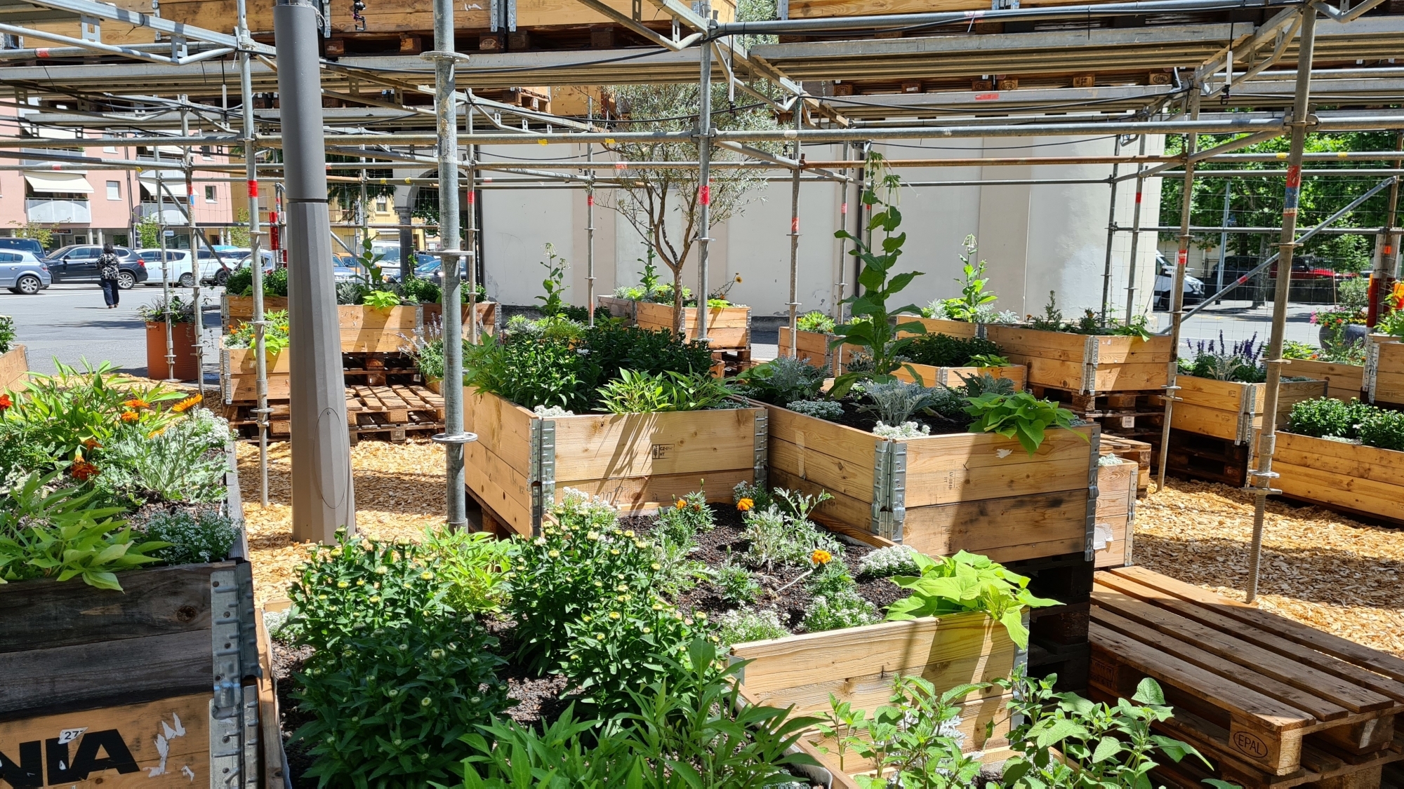 Le jardin apporte un peu de fraîcheur dans l'espace urbain.