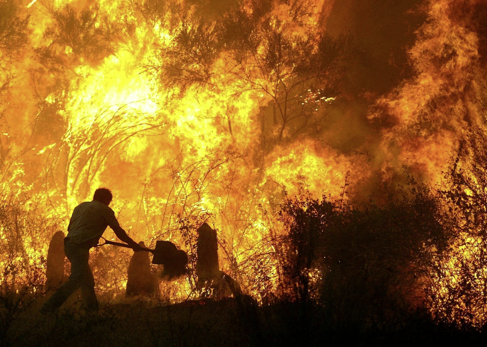 A lone  man tries to fight a  forest fire early morning in Boticas, Vila Real, northern Portugal, Wednesday, July 28, 2004. Three days of intense blazes  have destroyed thousands of hectacres of forest and protected landscape all over the country. (KEYSTONE/AP Photo/LUSA/Pedro Costa) ** PORTUGAL OUT **