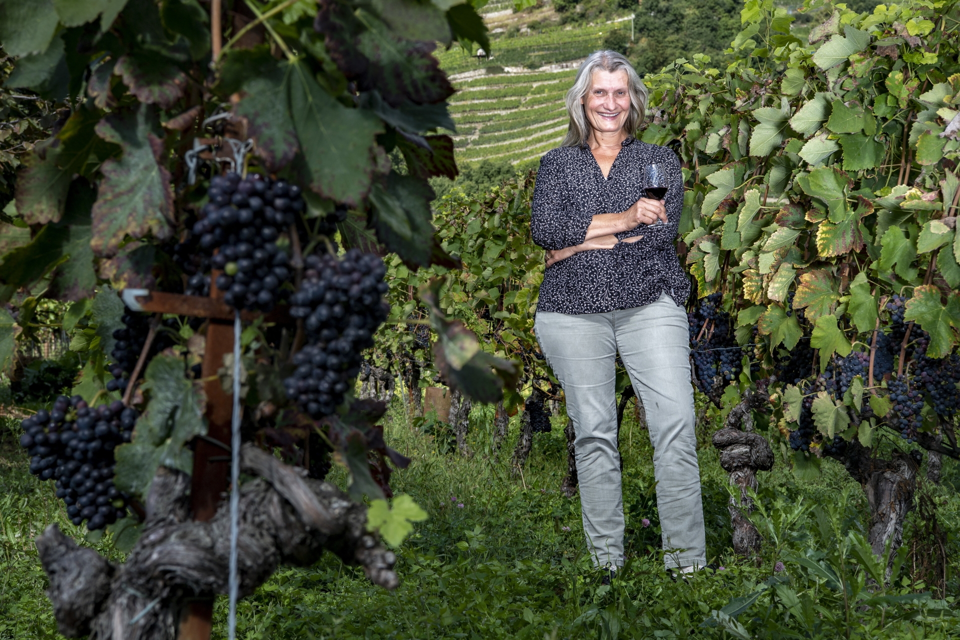 Isabelle Ançay travaille souvent seule dans ses vignes. Pour les vendanges qui approchent, elle va être épaulée par des gens de sa famille et de son entourage.