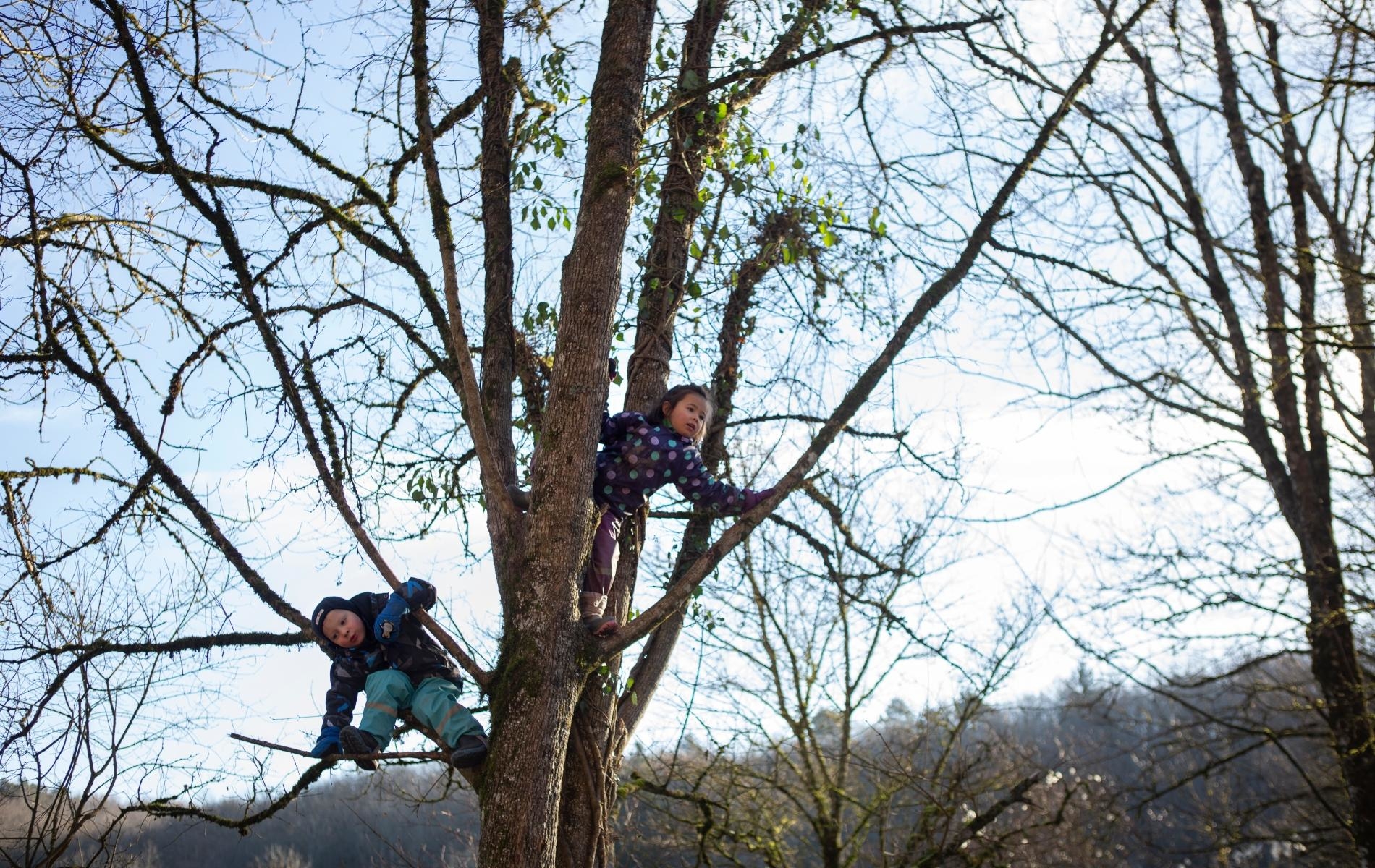 Prônant la pédagogie par la nature, l’association l’Éveil en forêt gère une écocrèche située à Dardagny, près de Genève, une région riche en biodiversité.  Axelle de Russé