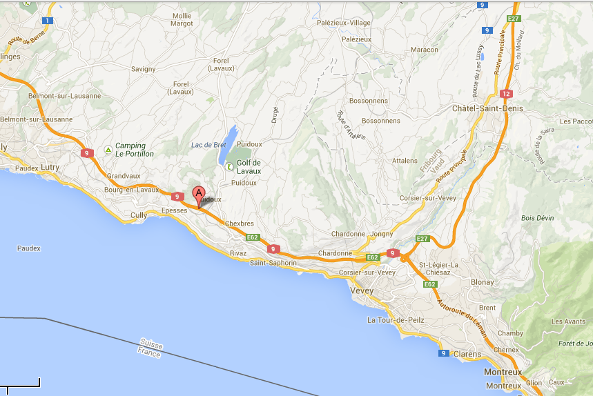 Le trafic est très perturbé sur l'autoroute A9 entre le Valais et Lausanne. Un camion chargé avec une machine à heurté la signalisation dans le tunnel du Flonzaley, à la hauteur de Puidoux-Chexbres.