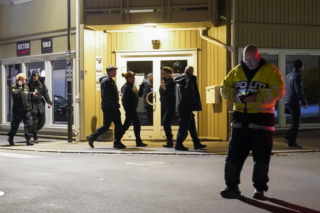 L'attaque s'est déroulée mercredi soir dans le sud-est de la Norvège.