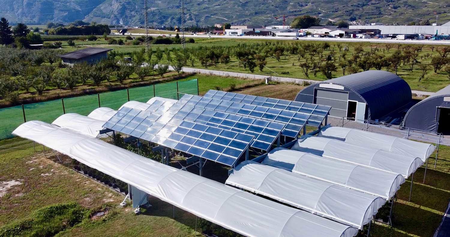 Les toits des serres d'Agroscope Conthey ont été recouverts de panneaux nouvelle génération. Avec de belles perspectives de développement.