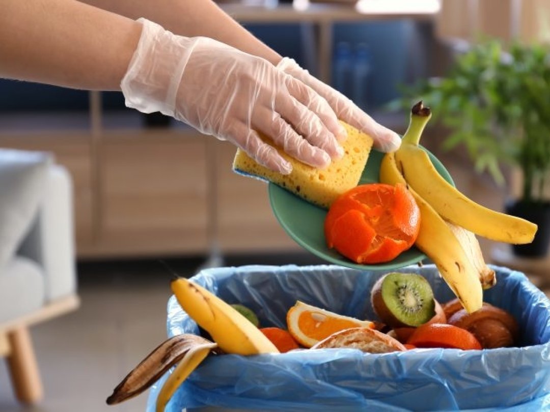 Selon les statistiques de l'Office fédéral de l'environnement (OFEV), 2,8 millions de tonnes de nourriture ont été gaspillées au long de la chaîne alimentaire en Suisse en 2019.