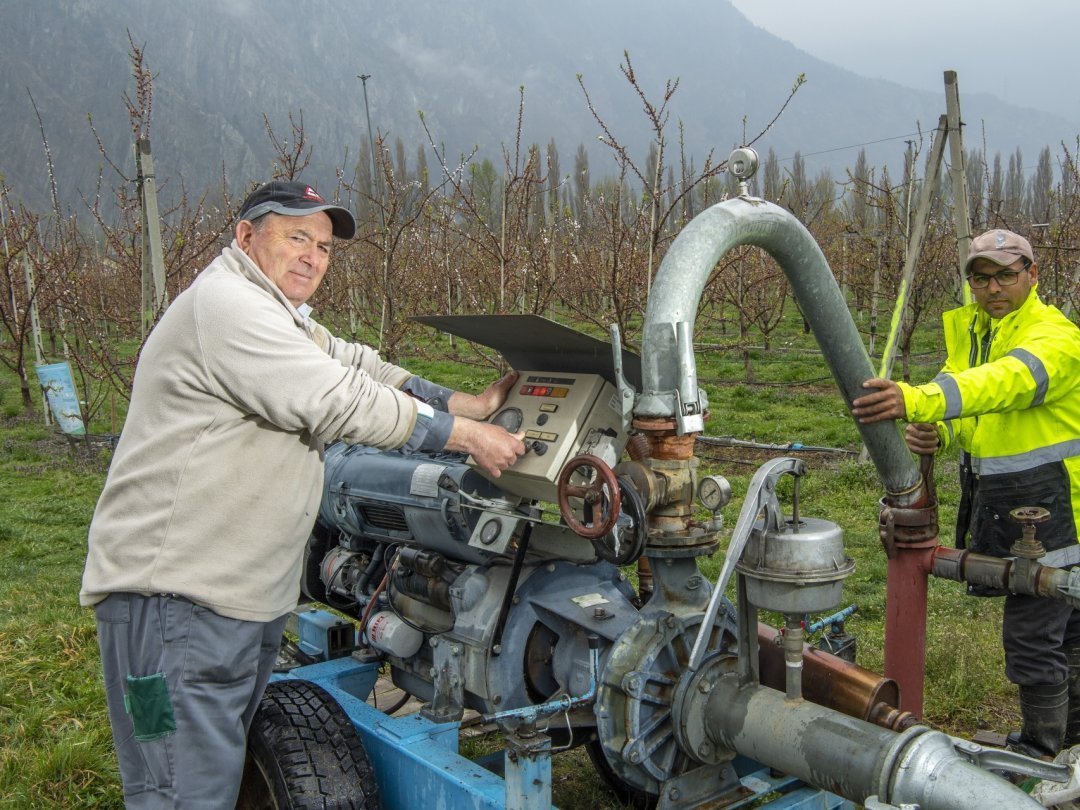Le producteur d'abricots Bernard Lucciarini, ici avec son associé Joao, se prépare à devoir lutter contre le gel et contrôle le bon fonctionnement des pompes pour l'aspersion.