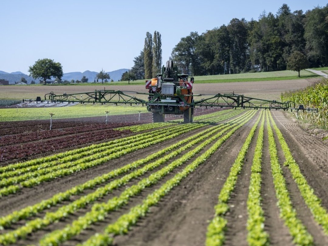 La nouvelle stratégie présentée par le gouvernement s'intéresse au système alimentaire dans sa globalité, de l'agriculteur au consommateur (illustration).