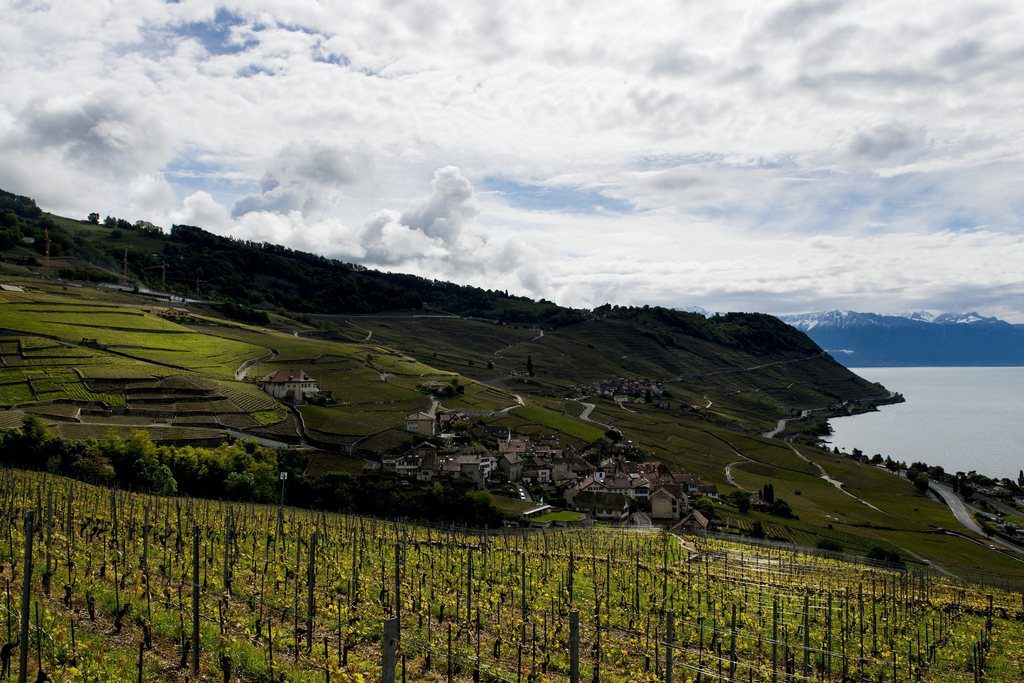 Le canton de Vaud oppose un contre-projet direct à l'initiative Weber "Sauver Lavaux III". Il juge le texte de l'écologiste "trop rigide".