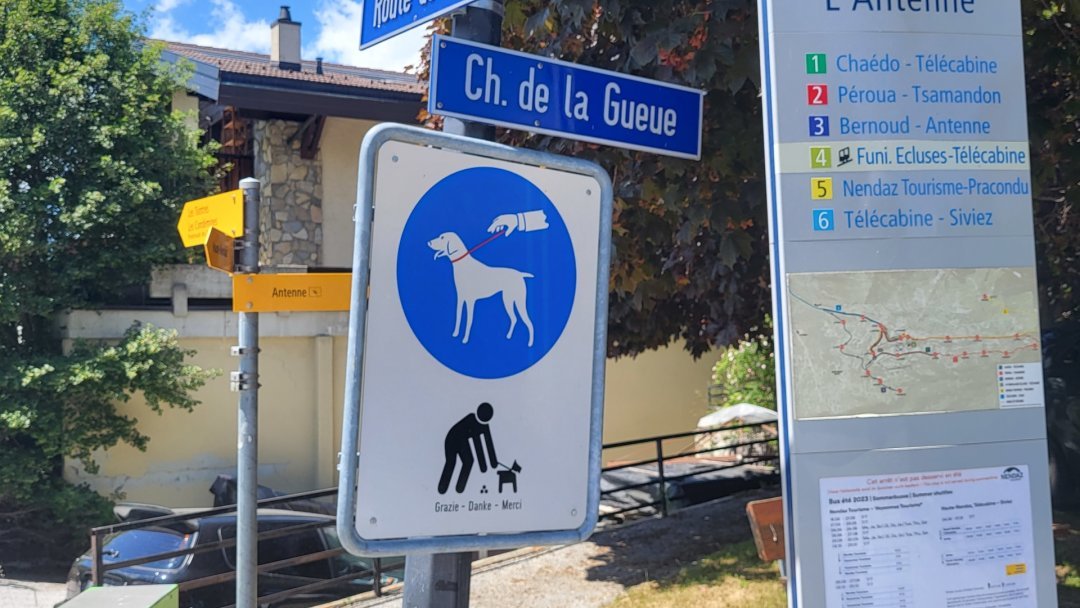 Afghan assassiné en 2023 à Nendaz: l’ex compagne du tueur condamnée à 4 ans de prison