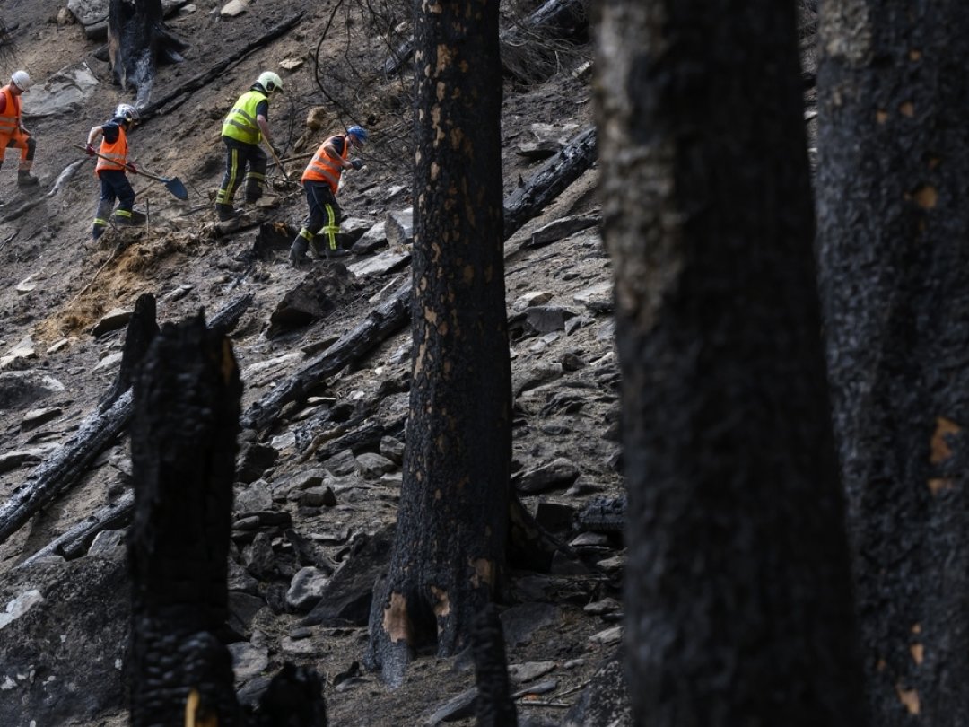 La semaine dernière, des pompiers s'affairaient encore dans la forêt qui surplombe Bitsch.