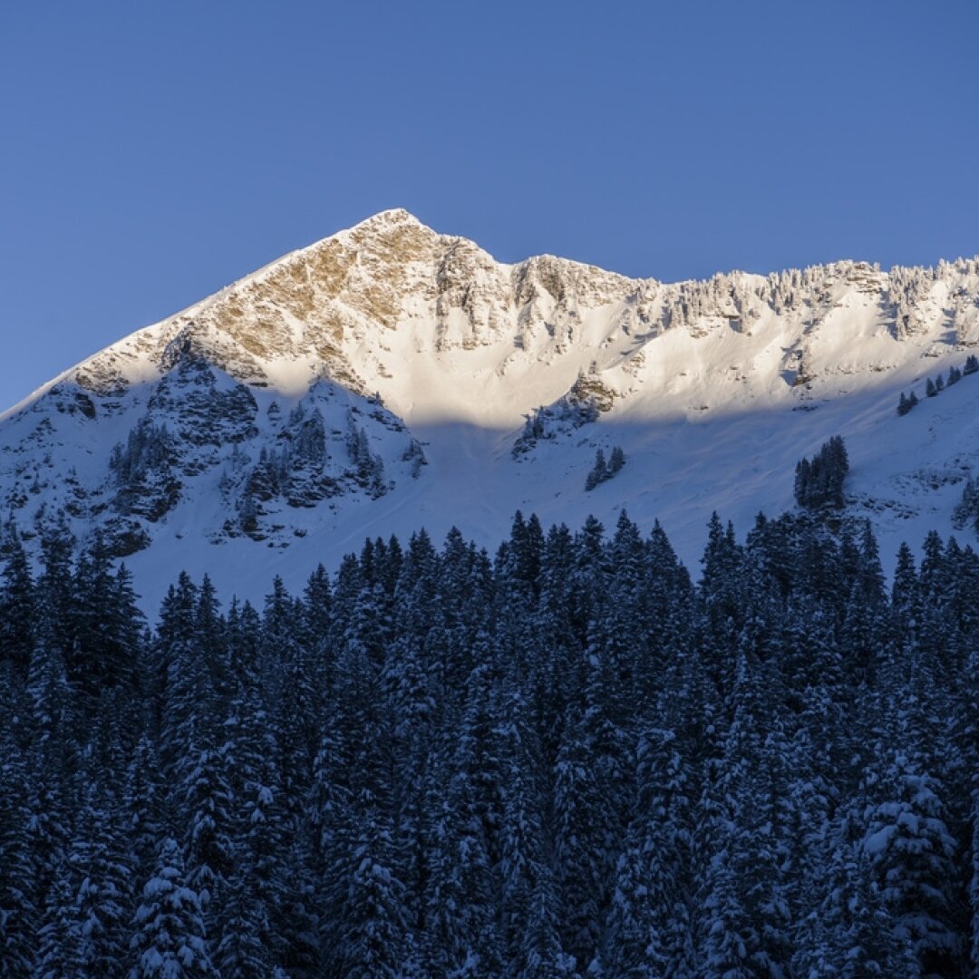 L'avalanche s'est déclenchée dans les pentes qui dominent le col du Pillon, au-dessus des Diablerets.