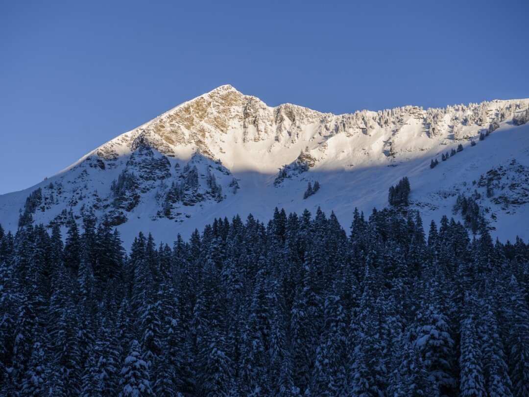 L'avalanche s'est déclenchée dans les pentes qui dominent le col du Pillon, au-dessus des Diablerets.