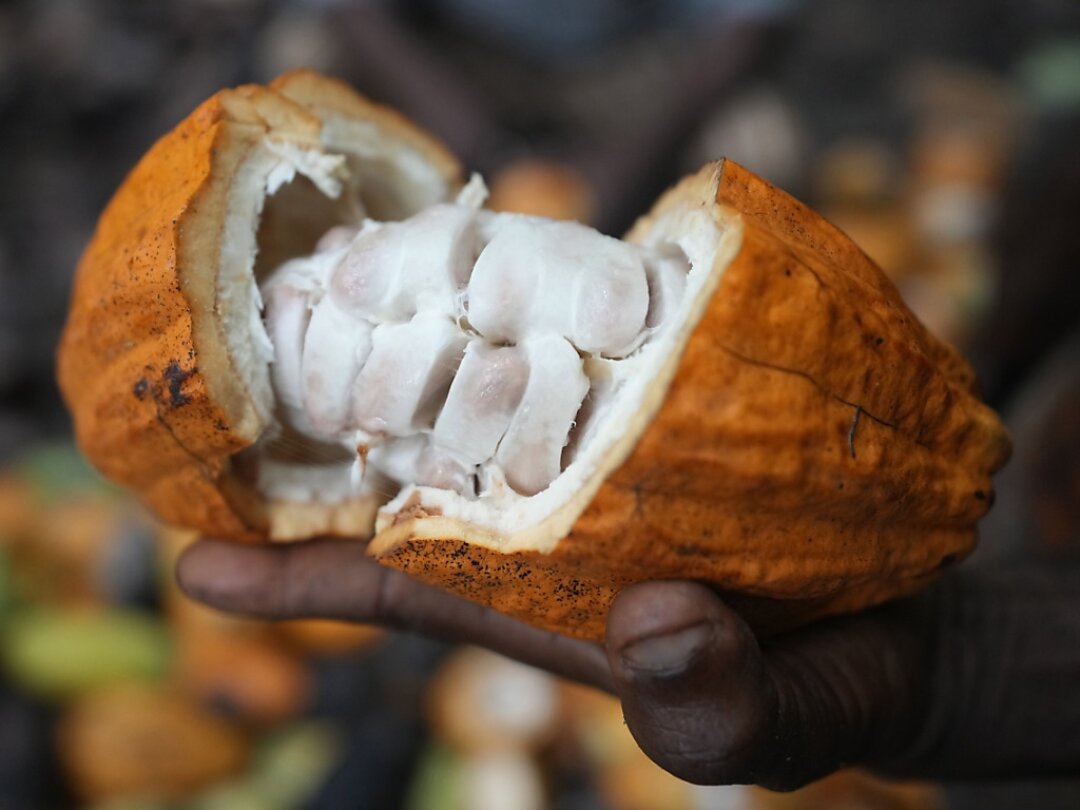 L'envolée inlassable des prix du cacao s'explique par une combinaison de facteurs, notamment par le manque de cacao venant d'Afrique de l'Ouest. (archives)