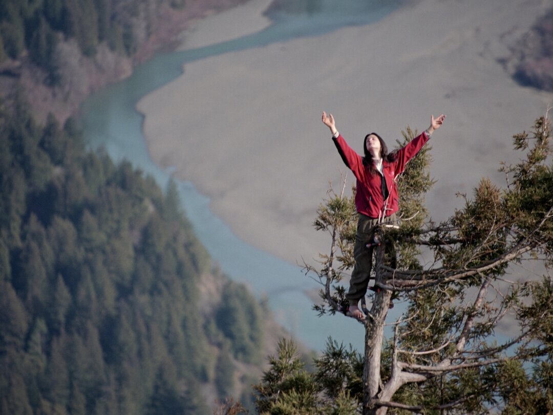 La 19e édition du Festival du film vert bat son plein en Valais