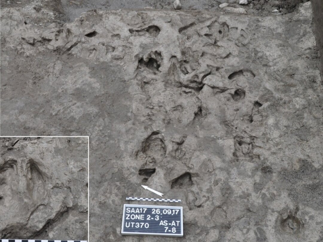 Empreintes de bétail du début du néolithique, conservées au fond d’un fossé sur le site des Arsenaux, à Sion.