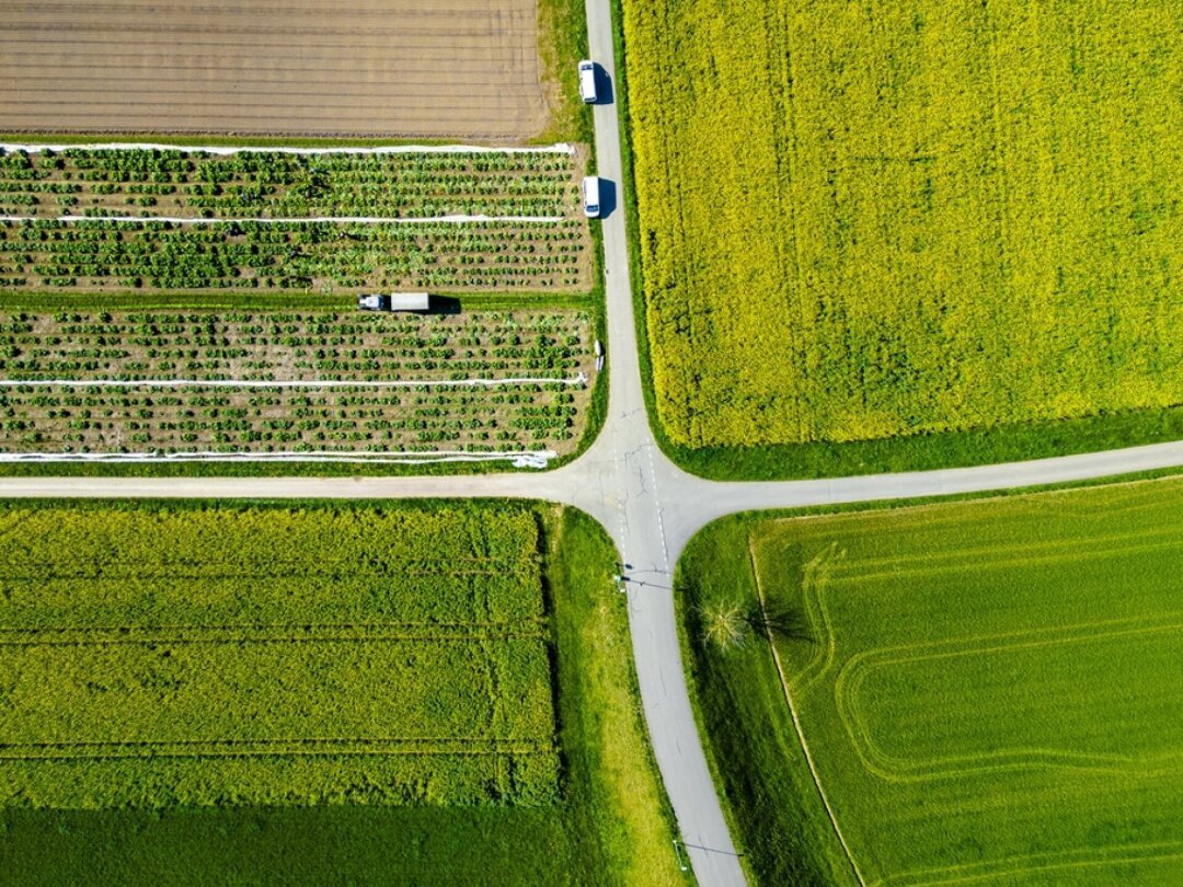 Les paysans bio disposent d'une surface cultivable de 190'000 hectares, soit 3700 hectares de plus qu'en 2022 (illustration).