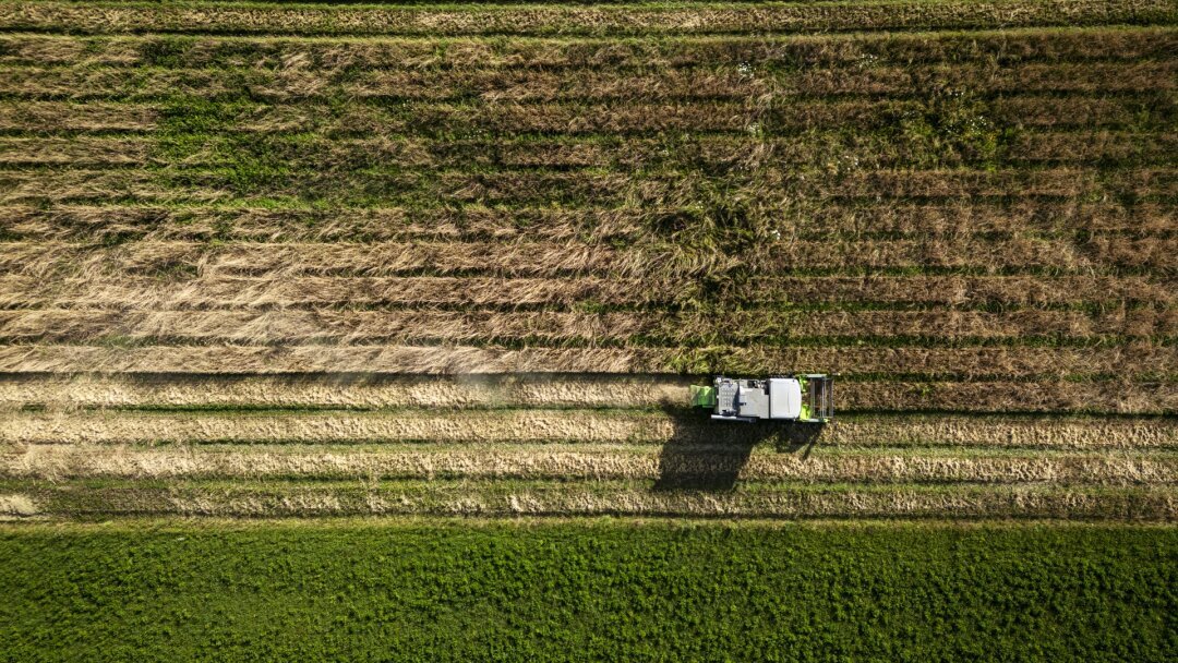 Agroalimentaire romand: «Beaucoup d’acteurs ne connaissent pas les marges de leurs produits»