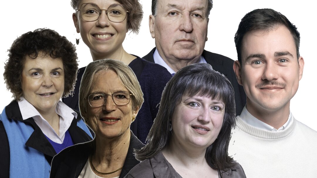 District de Saint-Maurice: agriculture, votes des étrangers et logement… la position des candidats au Grand Conseil