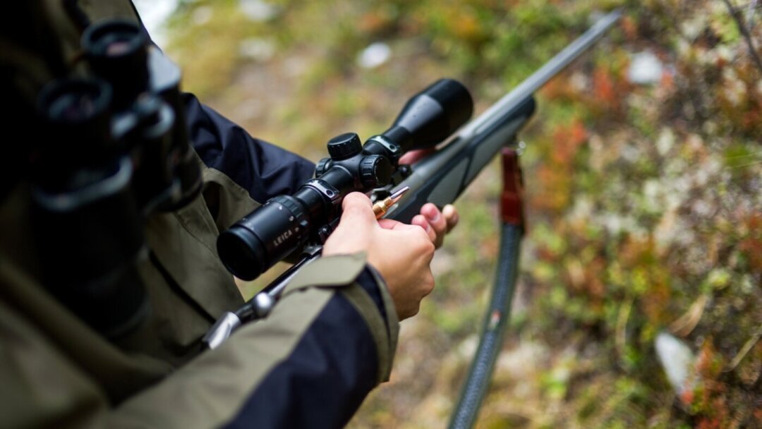 Pas de contrôle d’alcoolémie pour les chasseurs fribourgeois