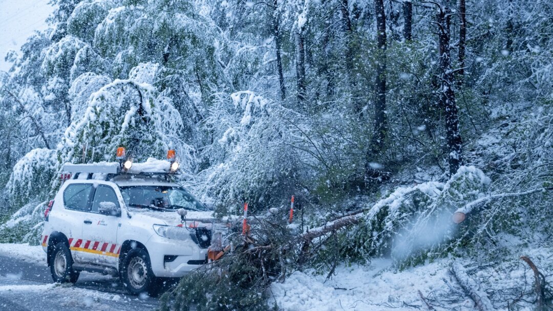 Tempête de neige en Valais: forêts, routes, électricité, avalanches, organisation… Les 5 questions que l’on se pose à J+1