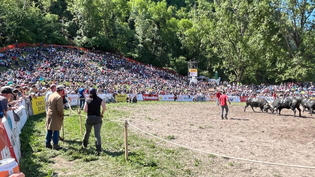 Qui succédera à Faika? Suivez la finale des combats de reines à Sion en direct avec nous