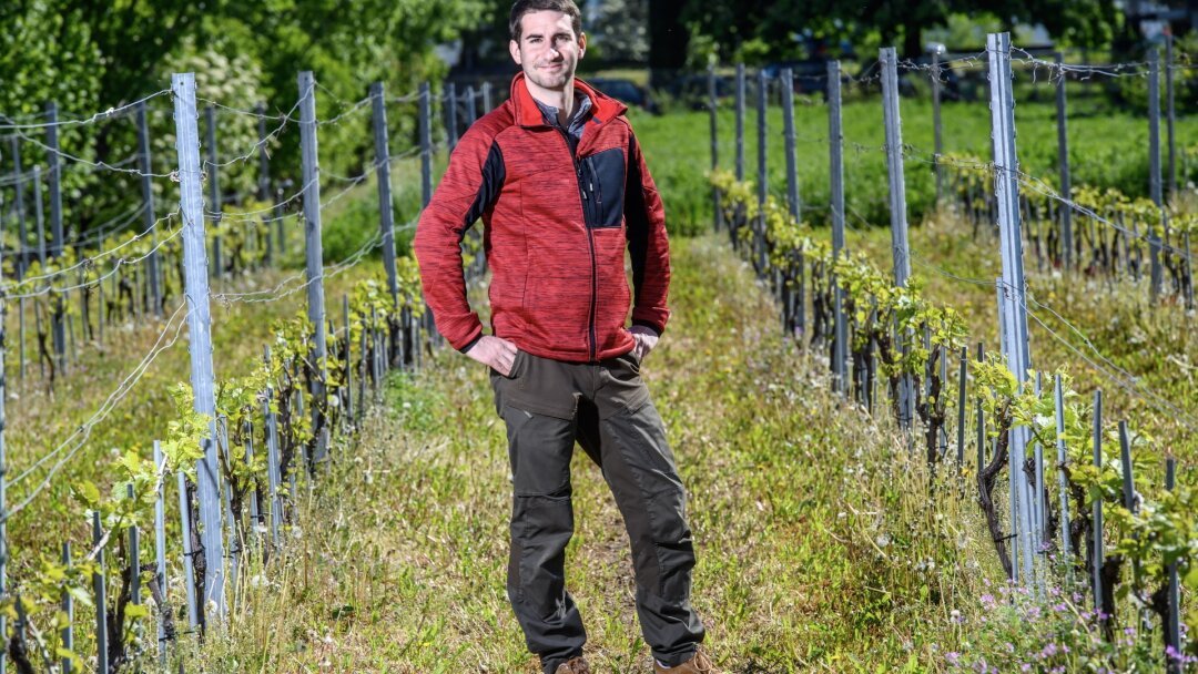 Marché du vin suisse et valaisan en crise: «La viticulture est comme amputée d’une jambe»