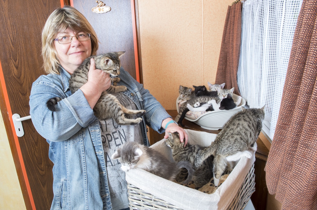 Corinne Margelisch, présidente de l'association "Les chats du Robinson.     ©Sacha Bittel/Le Nouvelliste