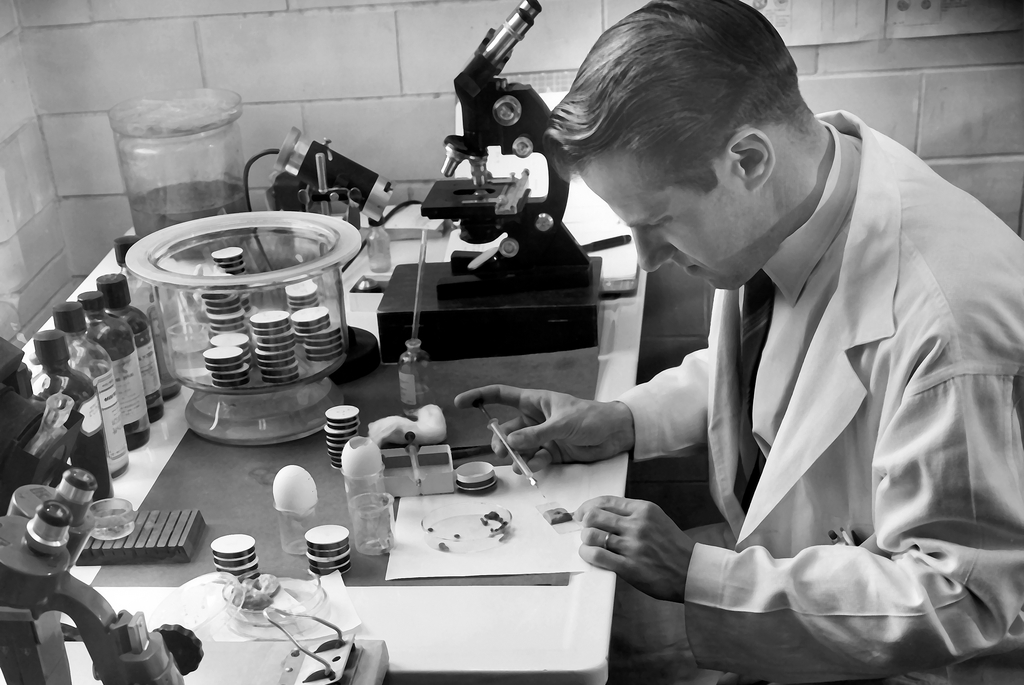 Sur cette photo de 1954 on peut voir le professeur Willy Burgdorfer en pleine recherche dans son laboratoire de Hamilton, dans l'Etat du Montana.