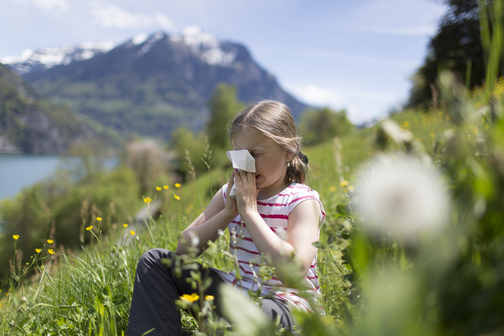 Environ 13% de la population suisse est sensible aux pollens des graminées.