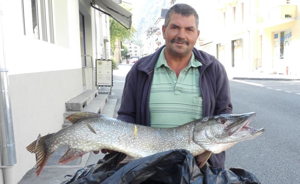 Guiseppe Marino a sorti ce brochet de 120 centimètres et 12 kilos du Lac de Géronde ce matin à Sierre. 
